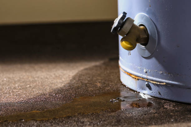 Best Mold removal after water damage  in Clairton, PA