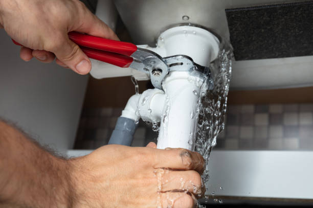 Best Professional water damage repair  in Clairton, PA