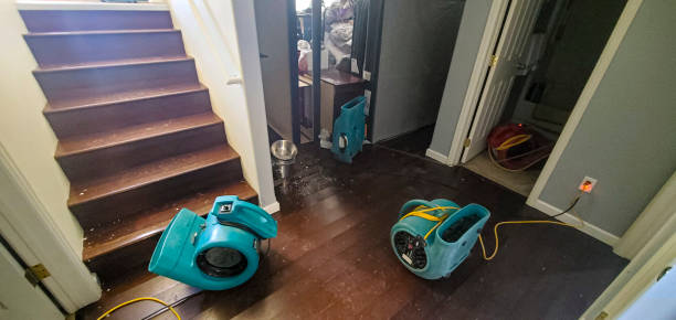 Best Ceiling water damage repair  in Clairton, PA