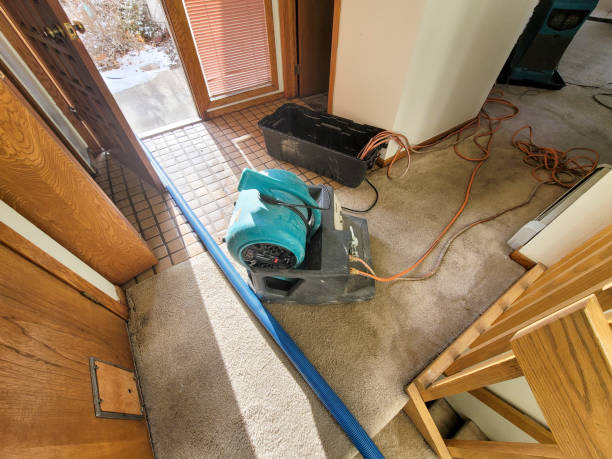 Best Ceiling water damage repair  in Clairton, PA