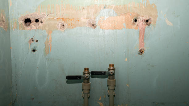 Best Local water damage restoration  in Clairton, PA