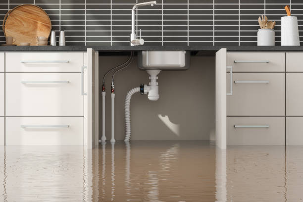 Best Water damage restoration specialists  in Clairton, PA